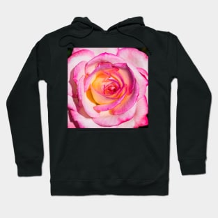 Rose Gold Hoodie